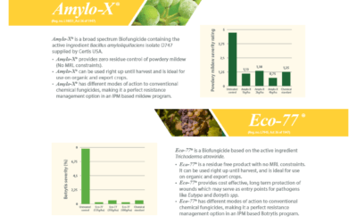 Inteligro Table Grape Guideline 2019