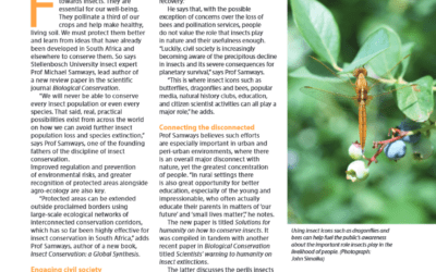 MSA FarmBiz Article