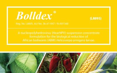 6 reasons why – Bolldex®