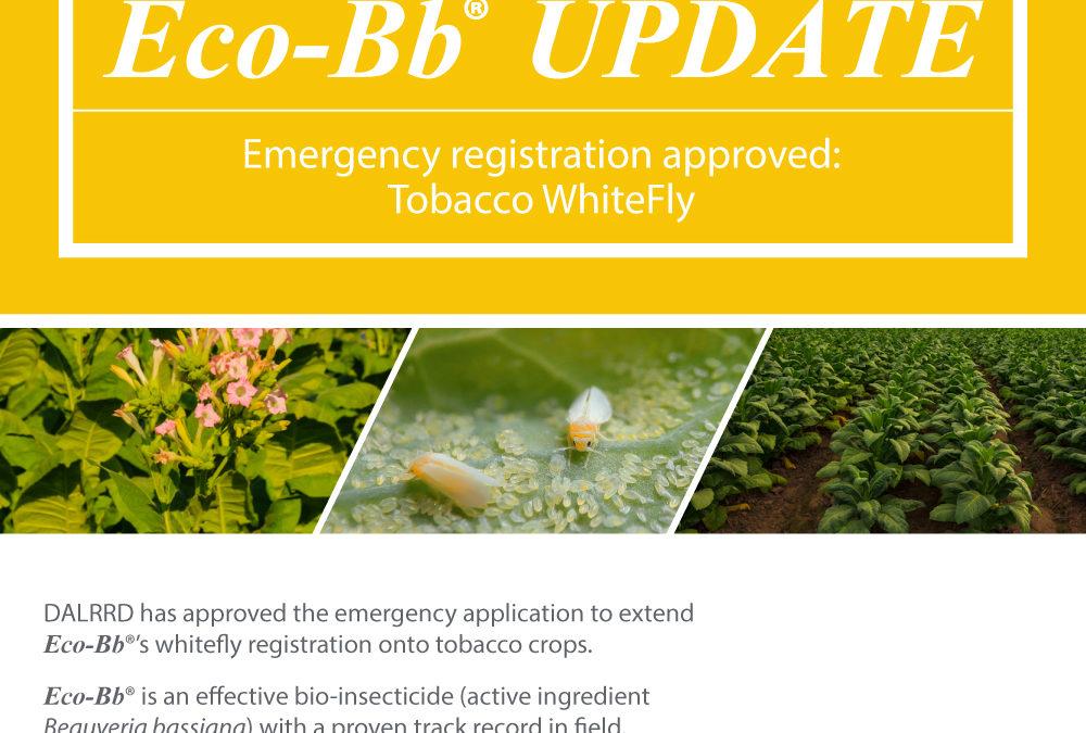 Eco-Bb Update