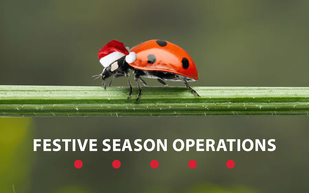 Festive Season Operations – 2020