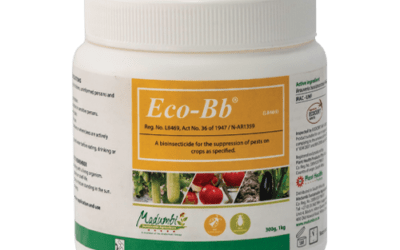 Eco-Bb label extension