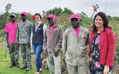 MADUMBI SUSTAINABLE AGRICULTURE SUCCESS STORY: BELLA ROSA FARMS ELIZABETH THORNTON DIBBS