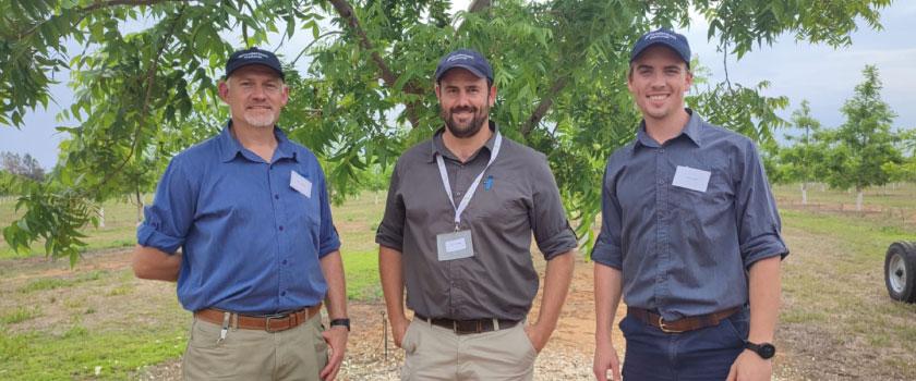 Did you know? – A glance into the Pecan Industry of South Africa