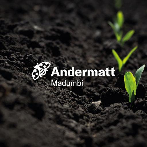 Press Release: EcoBuz transition to Andermatt Madumbi