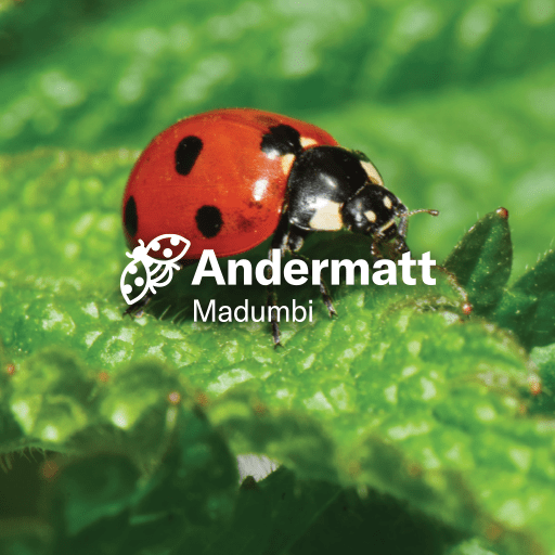 Andermatt Madumbi – Inhouse Biostimulant Production